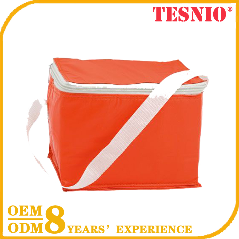 Eco Freezable Lunch Bag Reusable Ice Packs For Cans TESNIO, DBB052