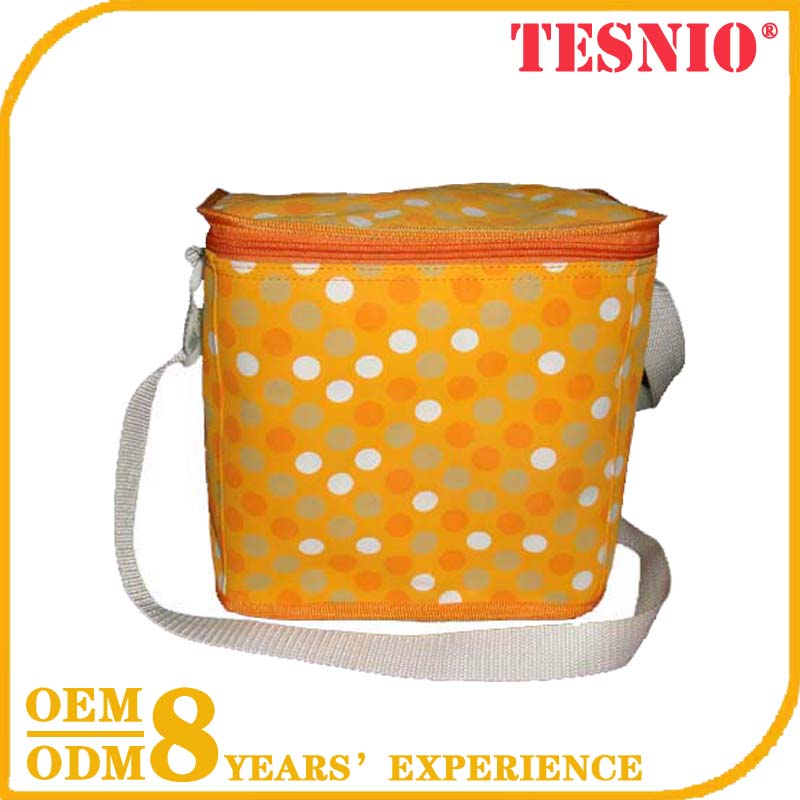 Hot Style Plastic Ice Lolly Bags Food Cooler Bag Wholesale TESNIO, DBB093
