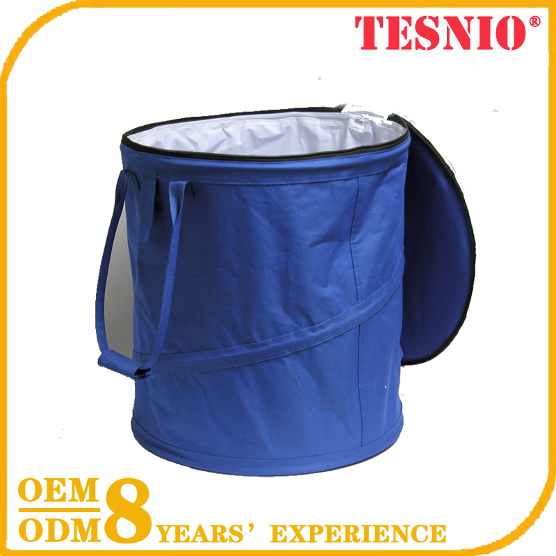 Running Food Delivery Cooler Bag Lunch Box With Bag Thermal Cooler Bag TESNIO, DBB079