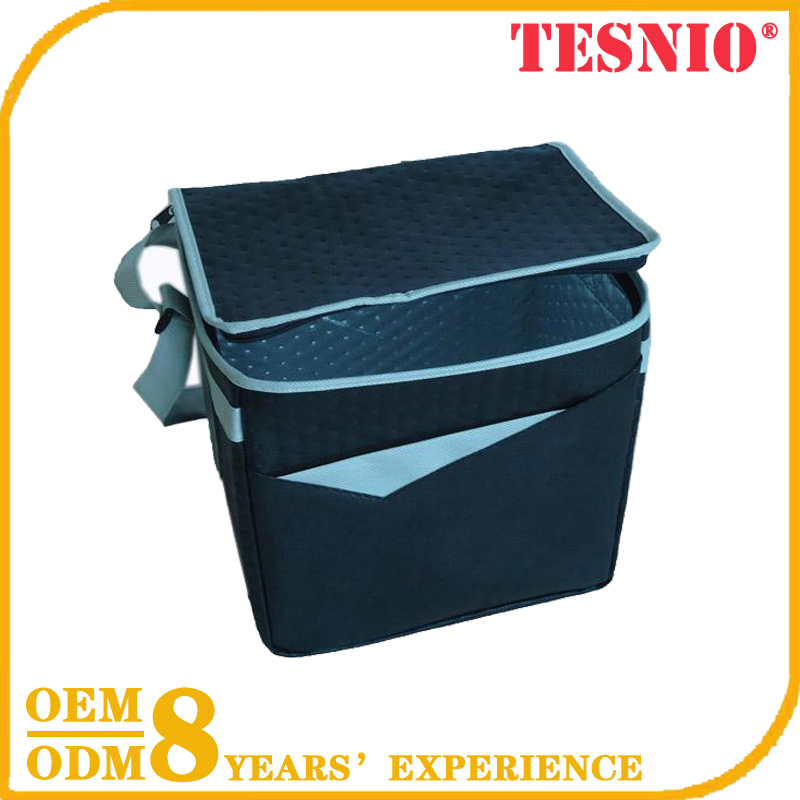 Young Insulated Clear Lunch Bag Golf Bag Cooler Whole Foods TESNIO, DBB092