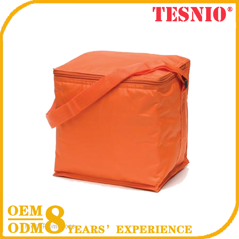 Zippers Ice Candy Bags Collapsible Cooler Bag Cooler Bags TESNIO, DBB055