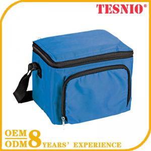 Fancy Neoprene Lunch Bag Mini Gel Ice Packs Mini Ice Packs Cooler TESNIO