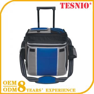 Manufacturer Large Insulated Canvas Cooler Bag Instant Ice Pack Folding Stool TESNIO