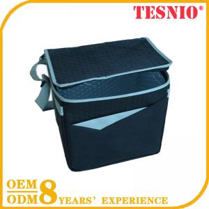 Young Insulated Clear Lunch Bag Golf Bag Cooler Whole Foods TESNIO